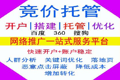 成功企业SEM竞价代运营案例研究